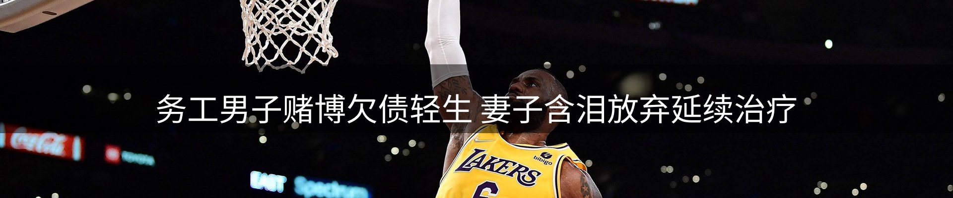 公司播报