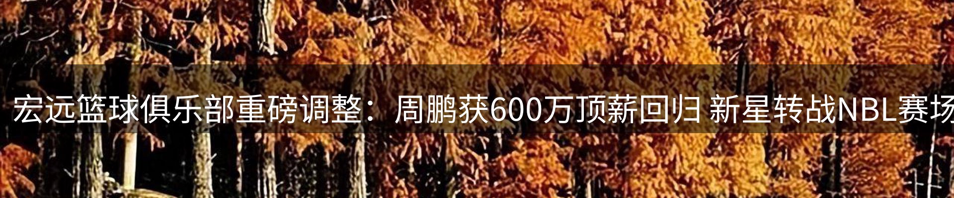 品牌资讯