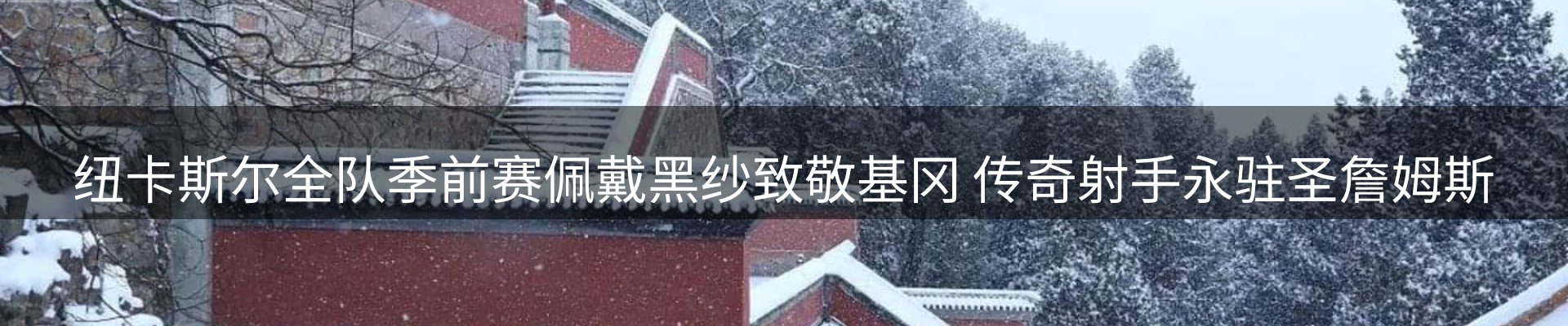 品牌资讯