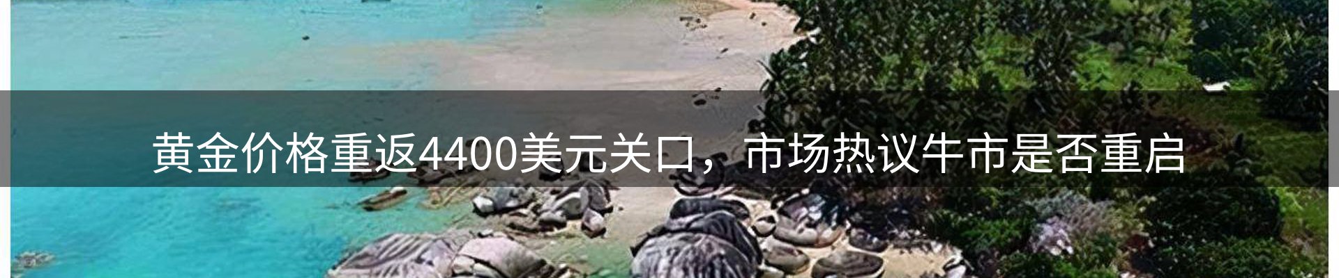 品牌资讯